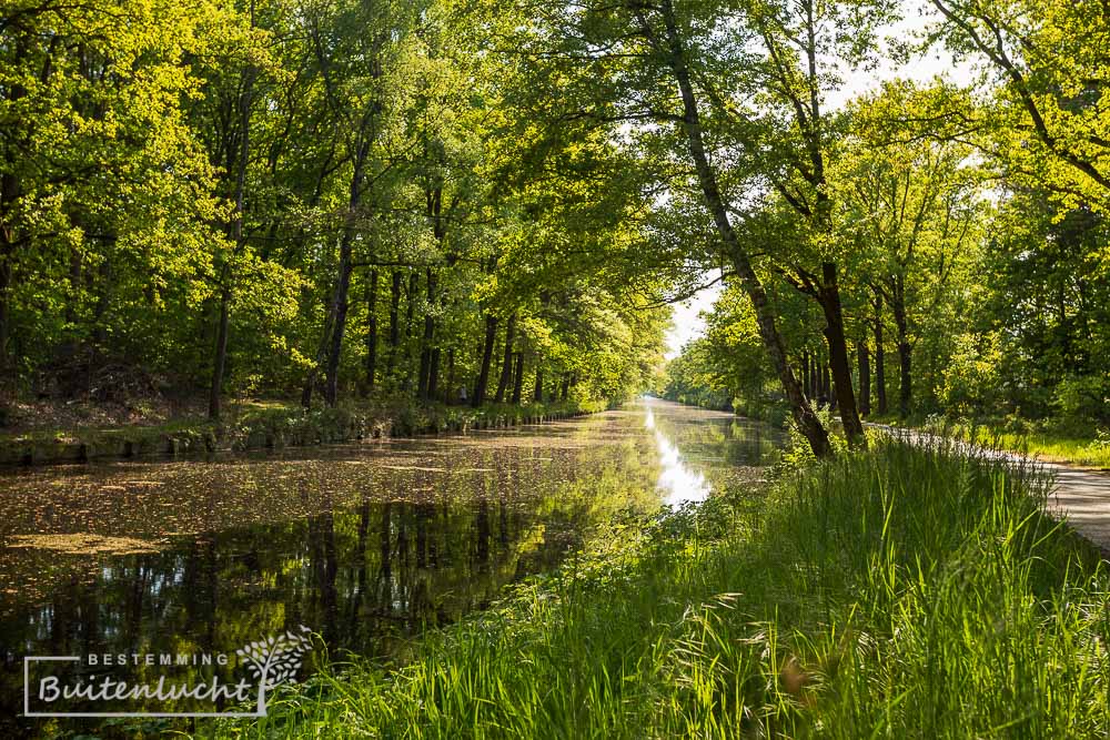 Eindhovens Kanaal langs het Dak van Brabant