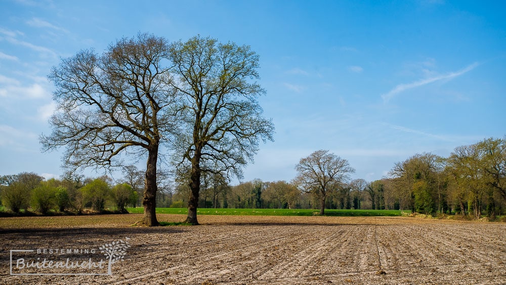 wandelen in landgoed weldam