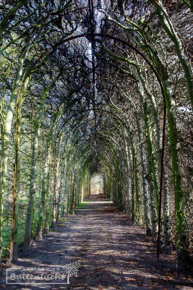 Wandelen door de borceau van Kasteel Weldam