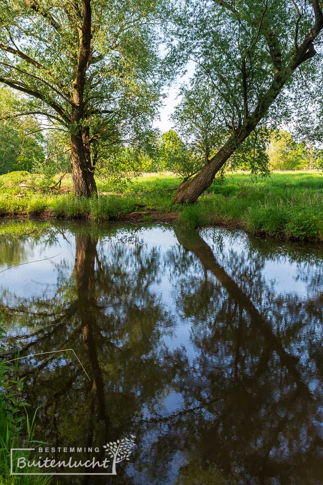 Weerspiegeling in de Kleine Dommel