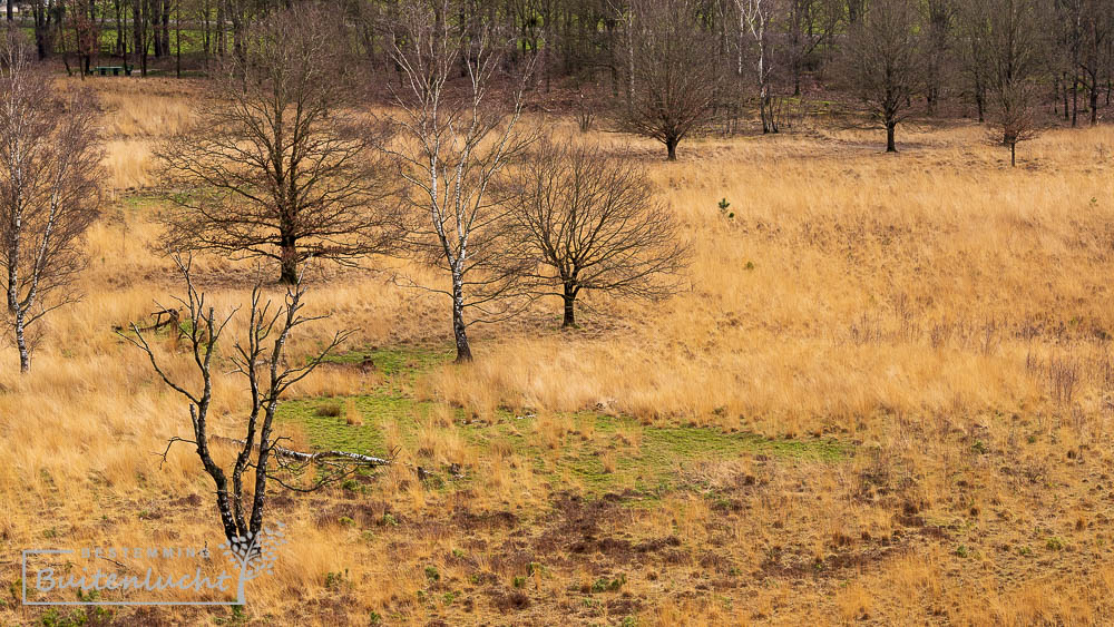 Paardekop wandelen