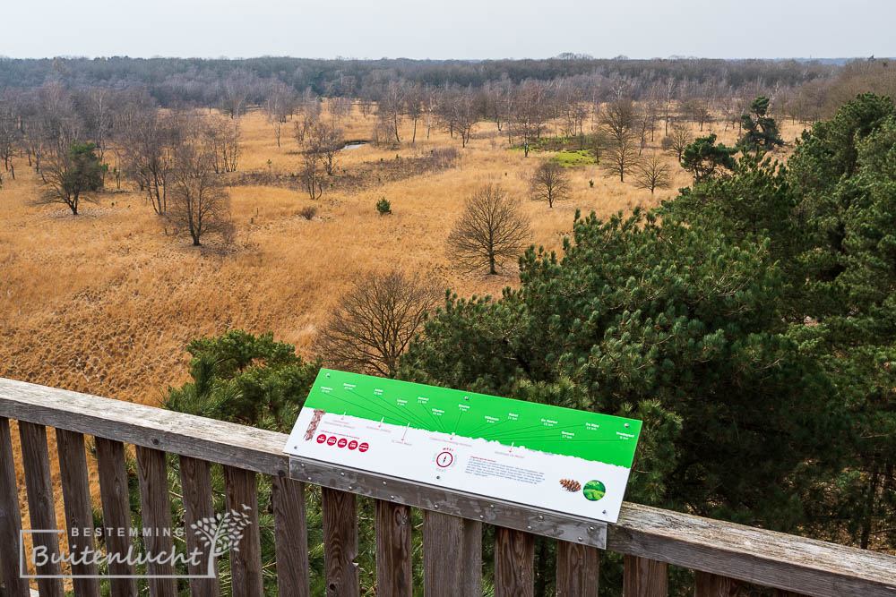 Zich over de Peel tijdens wandelen door de Paardekop