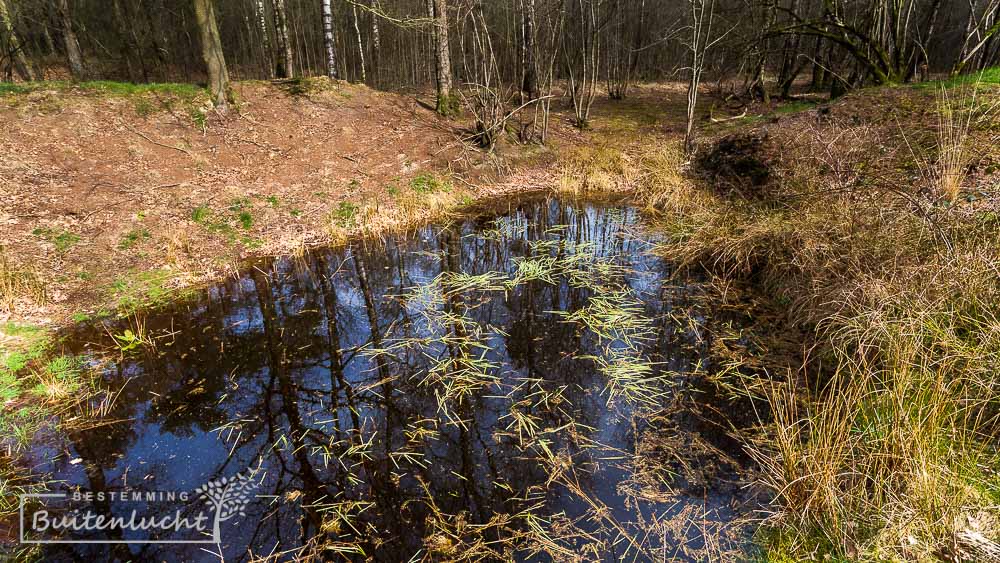 poeltje in de Paardekop bij natuurleerpad