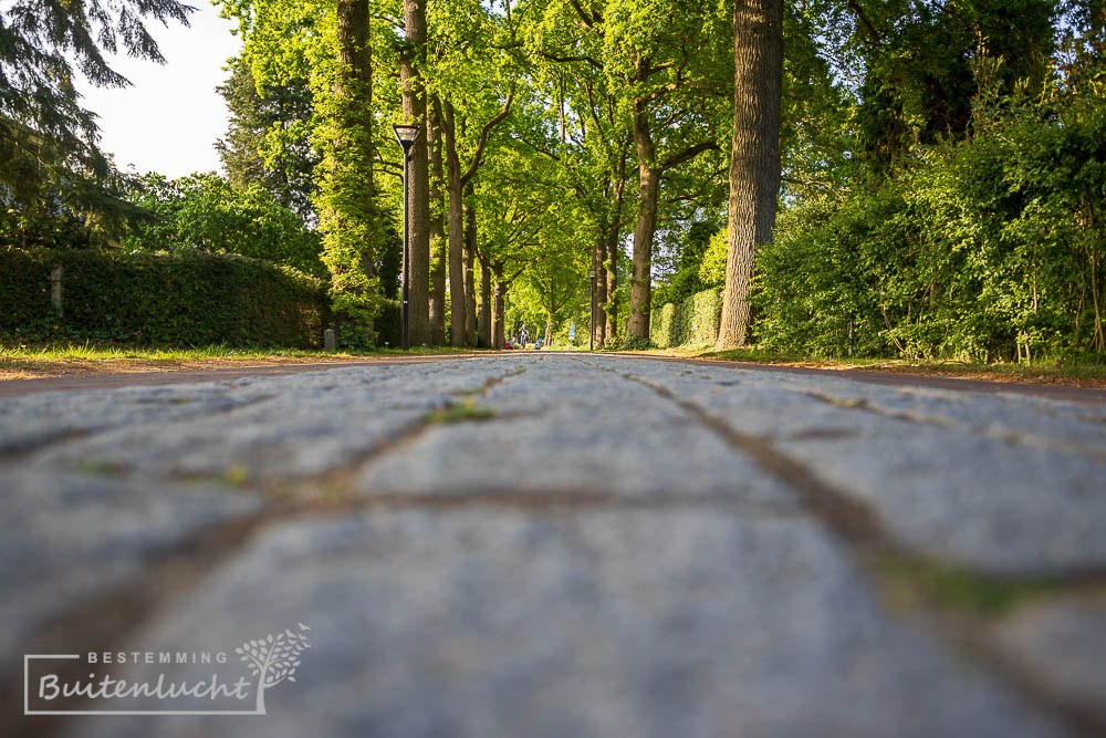 Straat in Eeneind