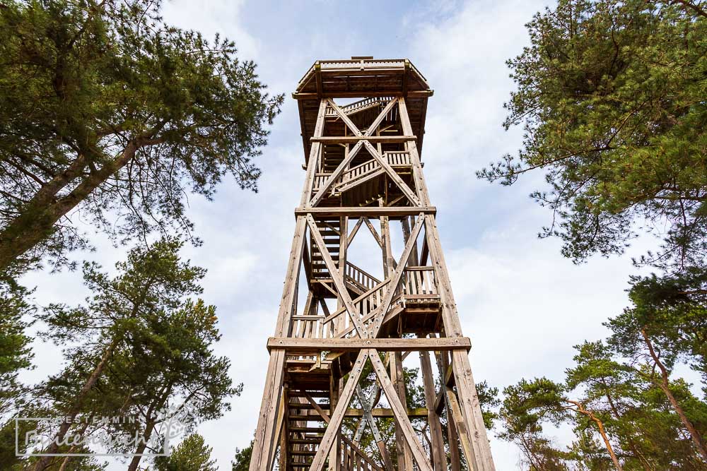 wandelen langs de uitkijktoren in Ysselsteyn