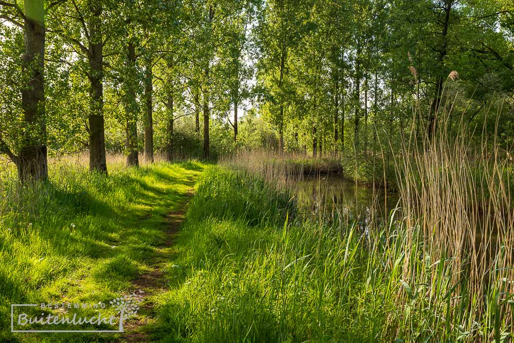 Langs de Kleine Dommel