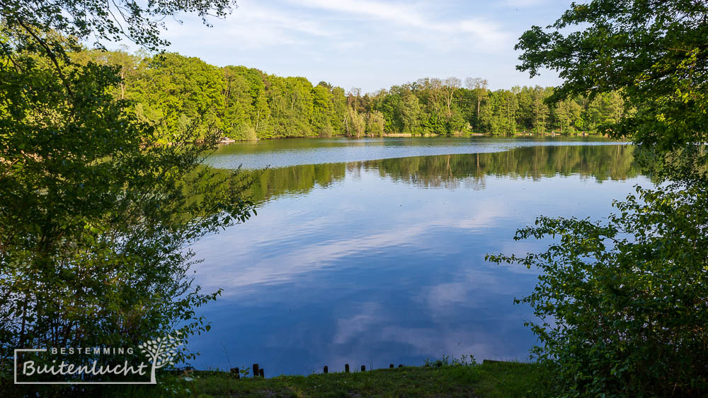 Visvijver Gulbergen