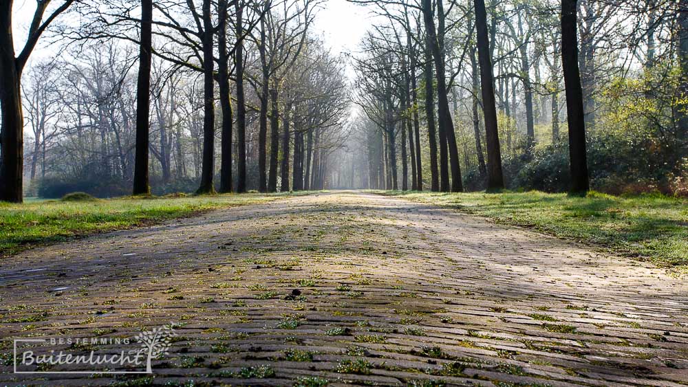 Wandelen over de Weldammerlaan bij kasteel Weldam