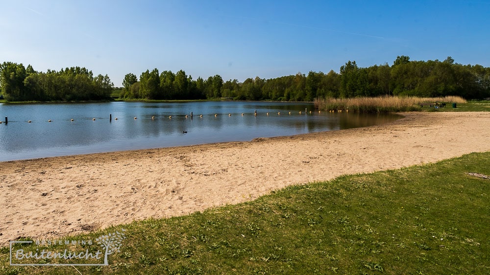 Zwemplas in Vrijenburgbos in Rotterdam-Zuid