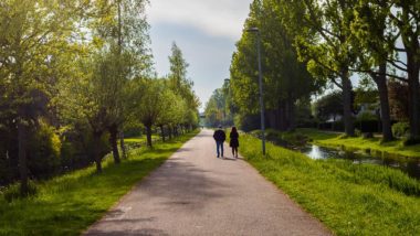 groene stadswandeling rotterdam zuid