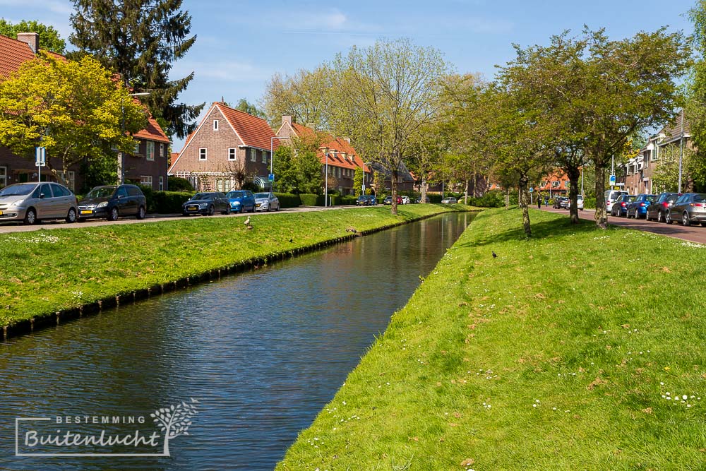 Lede in tuindorp Vreewijk