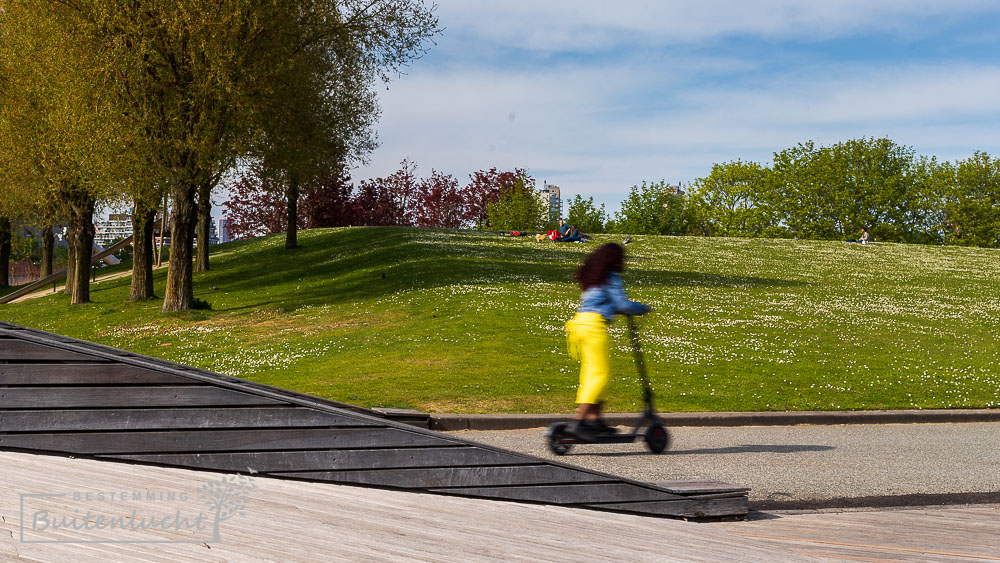 Wandeling in het groene Zuiderpark in Rotterdam-Zuid