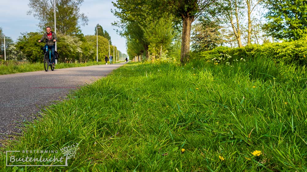 Havenspoorpad ontbreekt niet in de meest groene wandeling van Rotterdam 