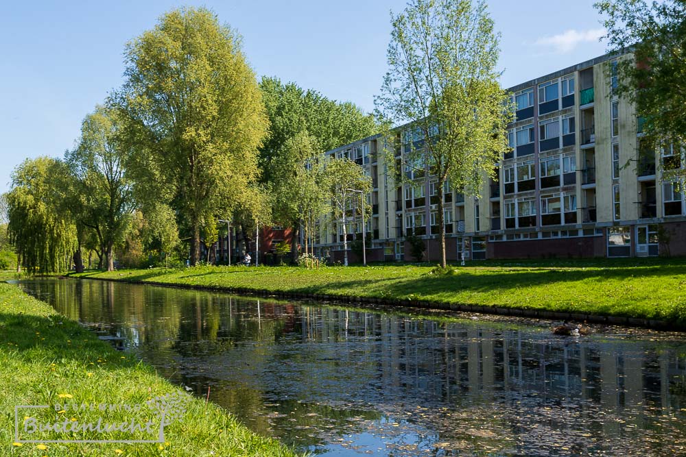 Een groene wandeling in de stad Rotterdam