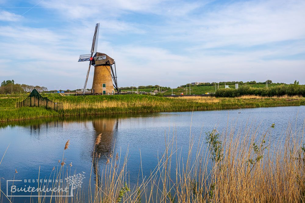 Pendrechtse molen in Molenweide op Rotterdam-Zuid