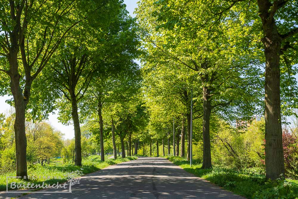 Smeetslandsedijk