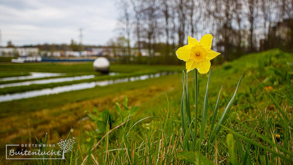 op het talub bij Energy in Lochem