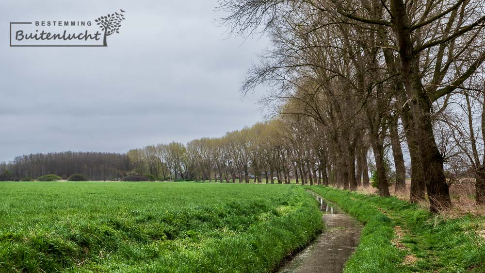 Trage Tocht Steenderen