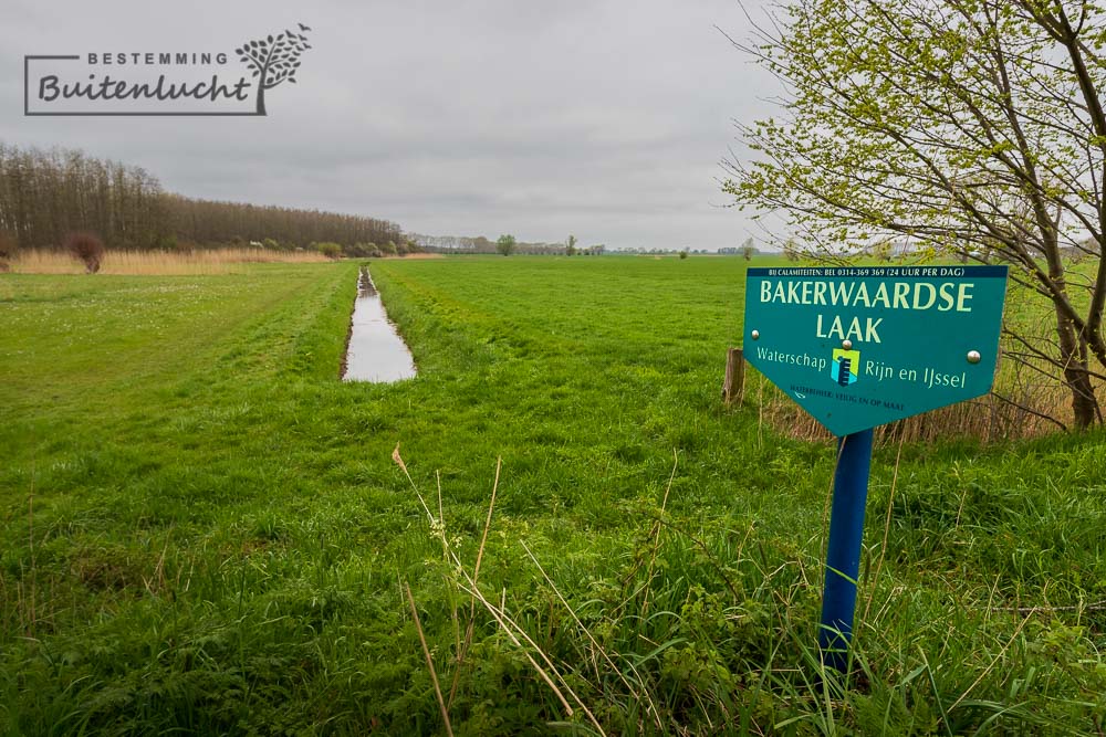 Wandelen tussen Bronkhorst en Steenderen