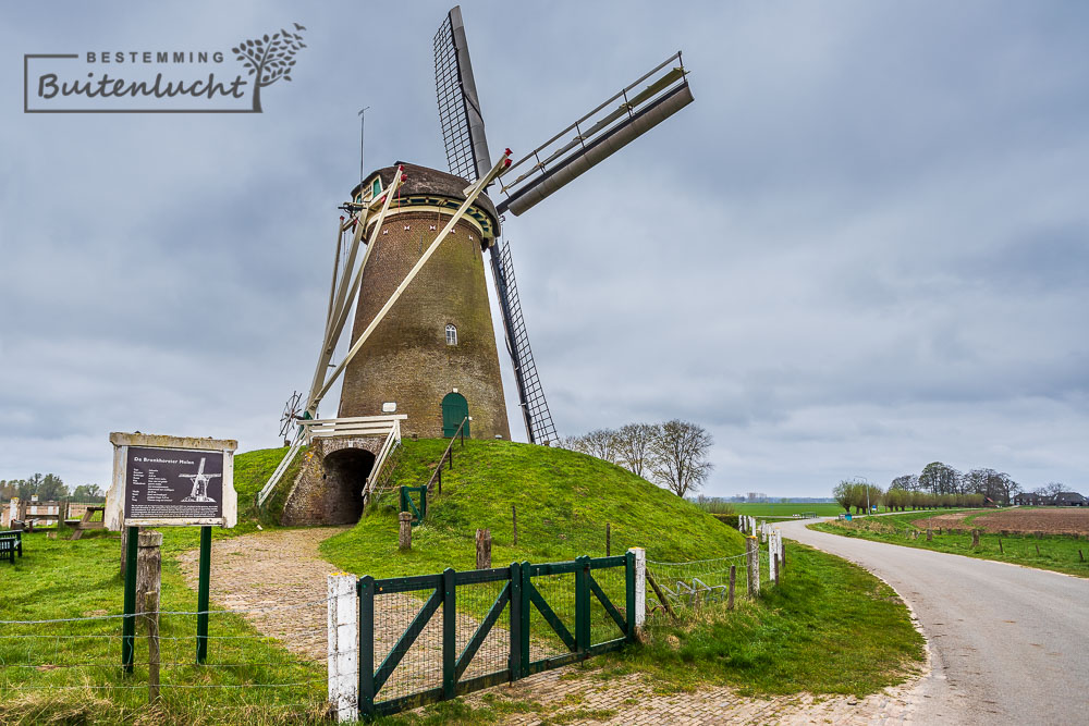 Bronkhorster Molen