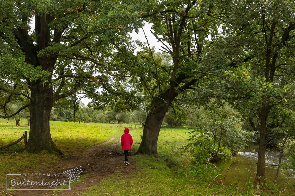 We wandelen langs de Geul door weides vanuit Epen