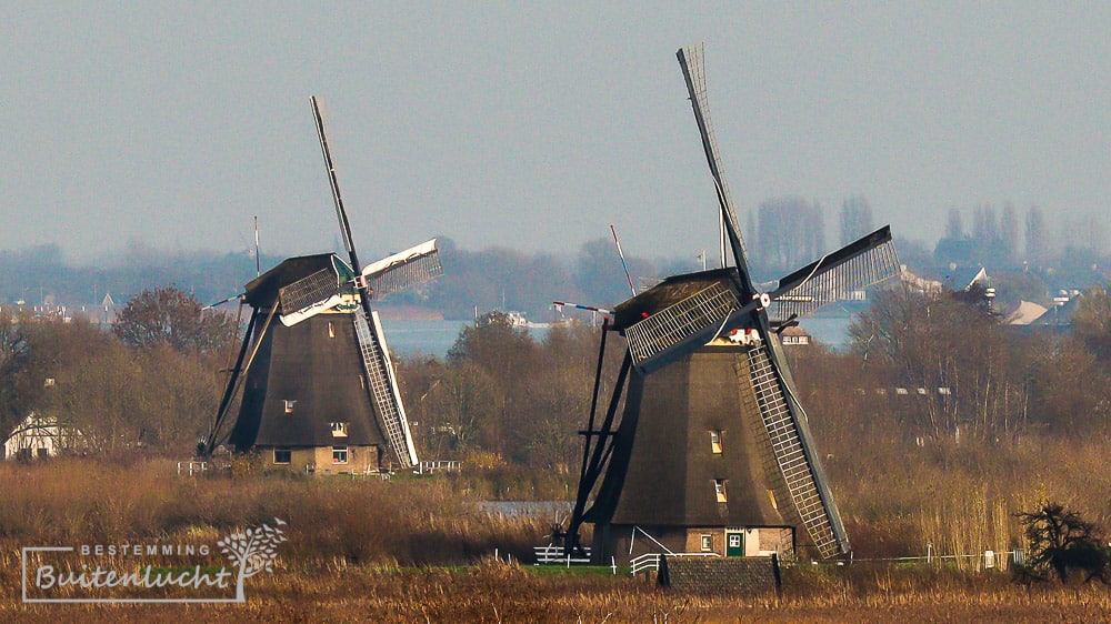 Molens van Kinderdijk tijdens het wandelen in Ridderkerk