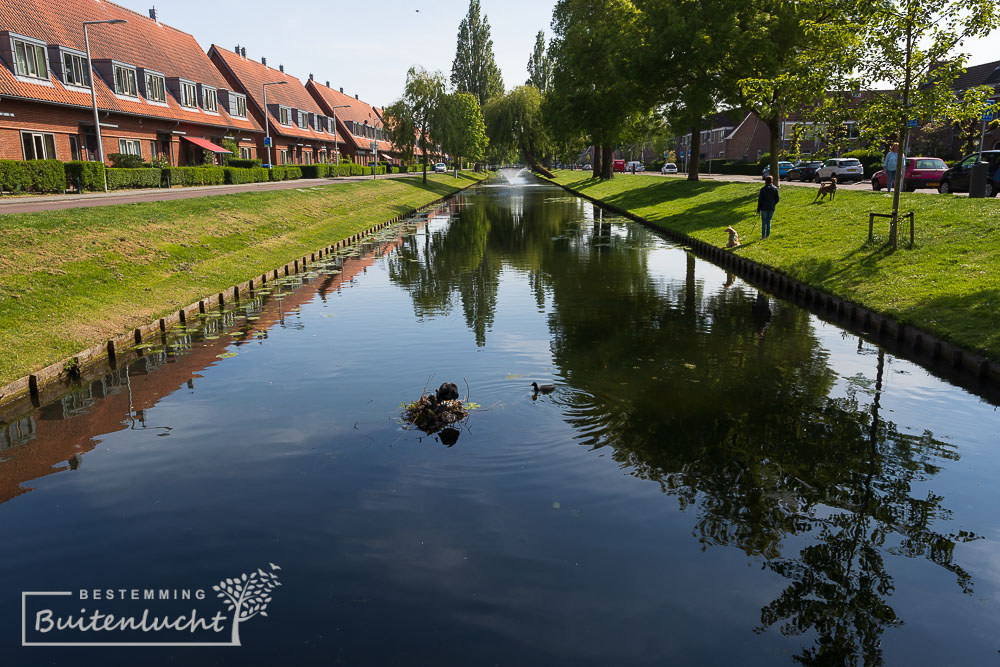 wandelen door Vreewijk, een van de tuindorpen in Rotterdam-Zuid