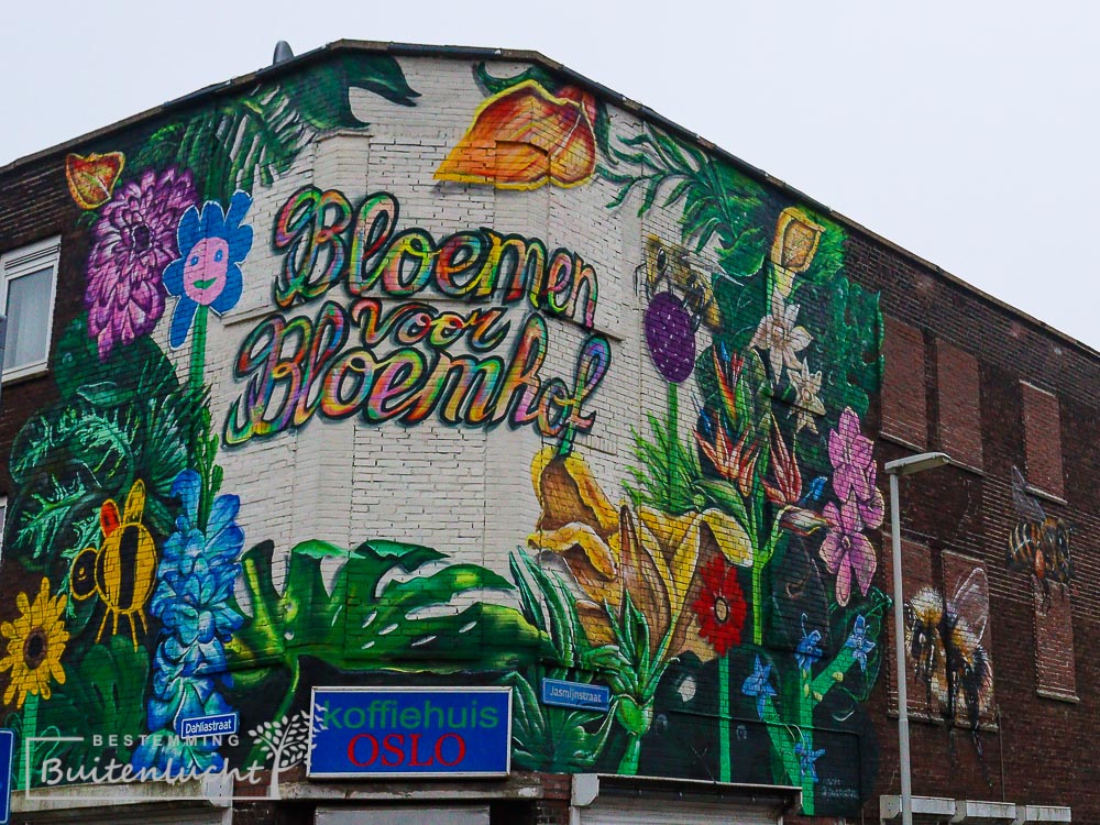 Bloemhof tijdens de wandeling door de tuindorpen van Rotterdam-Zuid