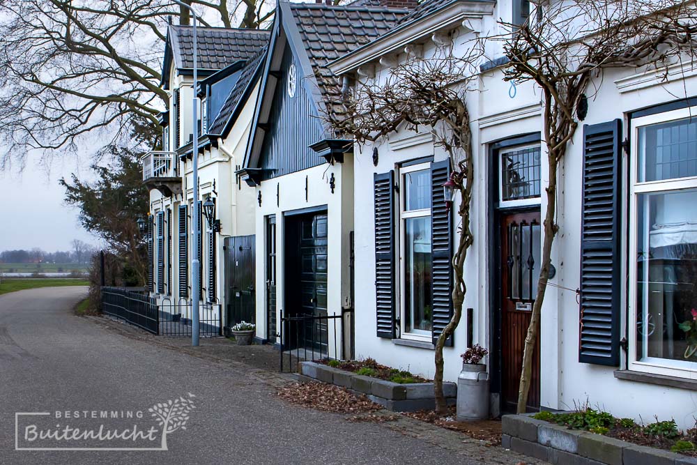 Wandelen in Rossum: Maasdijk