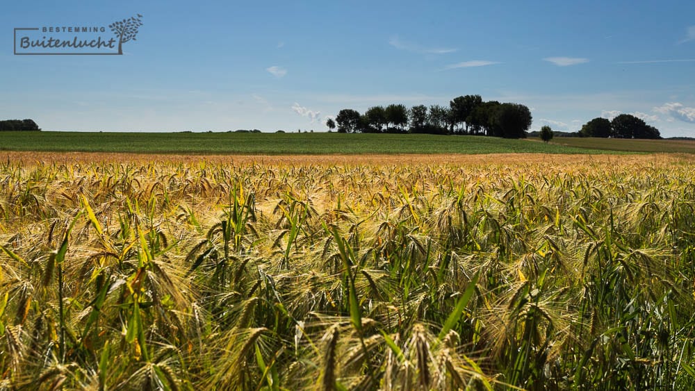 wandelen door de natuur bij Rosakapel