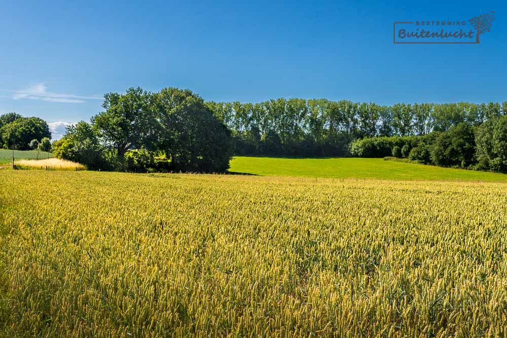 wandelen door heuvelig landschap net buiten Sittard 