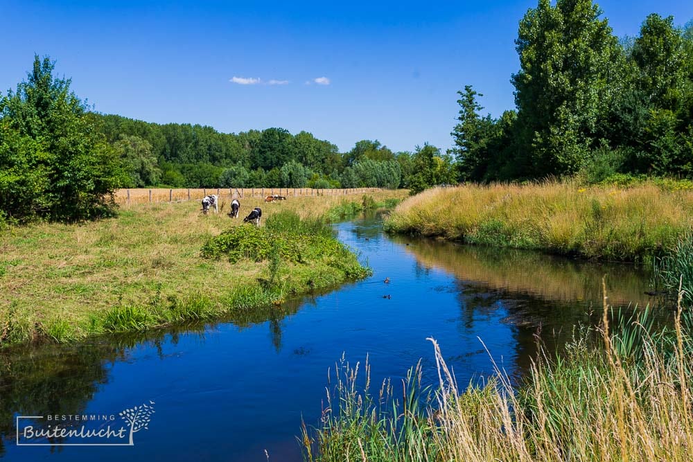 Geleenbeek bij Munstergeleen, wandelen