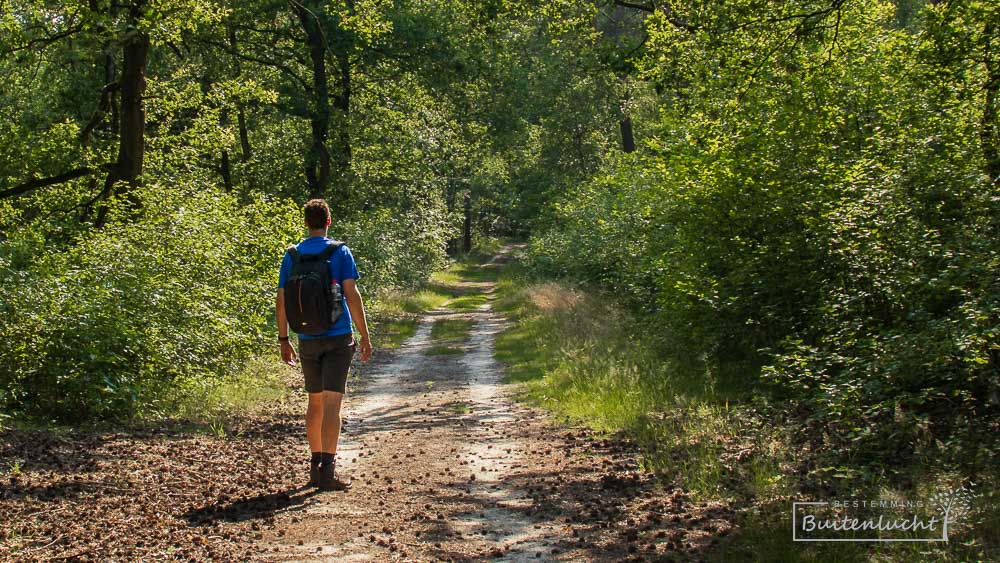 Wandelvakantie in Nederland, wandelen in eigen land