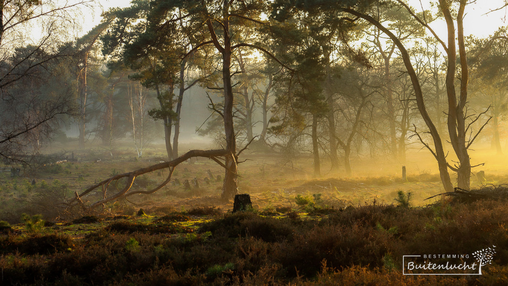 Beegderheide