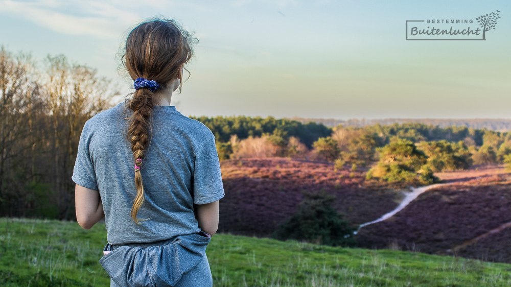 Fotograferen in de Brunssummerheide in Zuid-Limburg