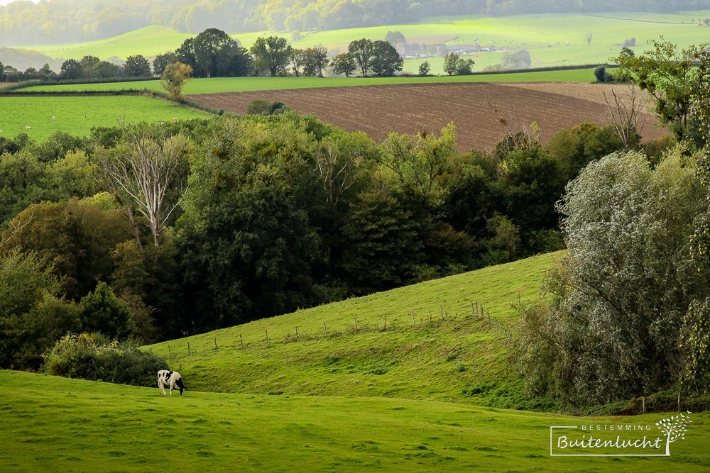 Lijnen in het heuvelland van Limburg fotograferen