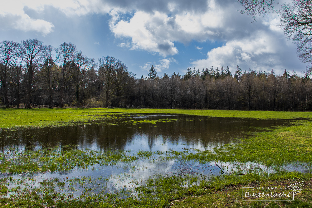 Vloeiweide in Het Lankheet staat onder water