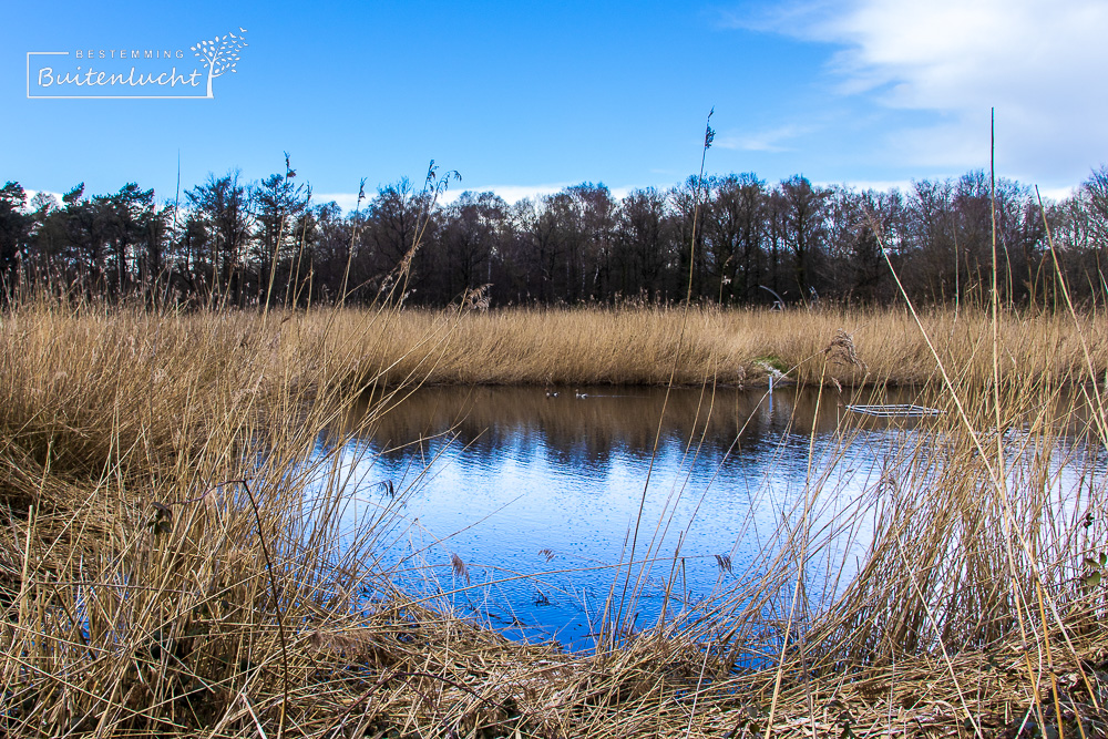 Wandelen door het Waterpark in Het Lankheet