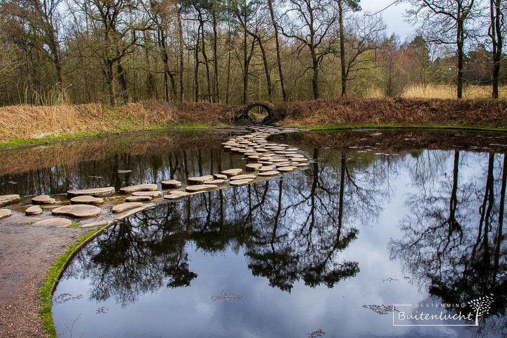 Kidneypools in Waterpark in Landgoed Het Lankheet