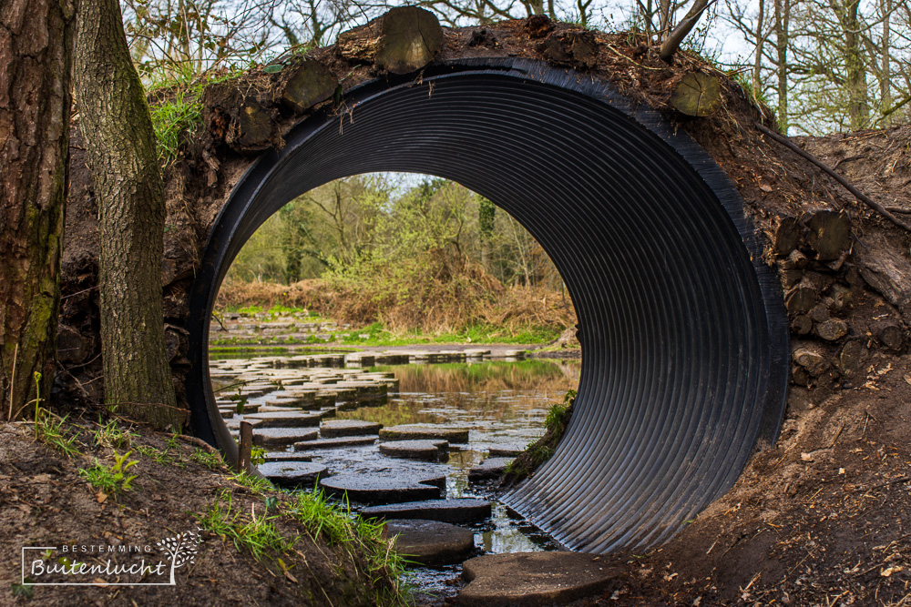 Wandelen over Kidney Pools