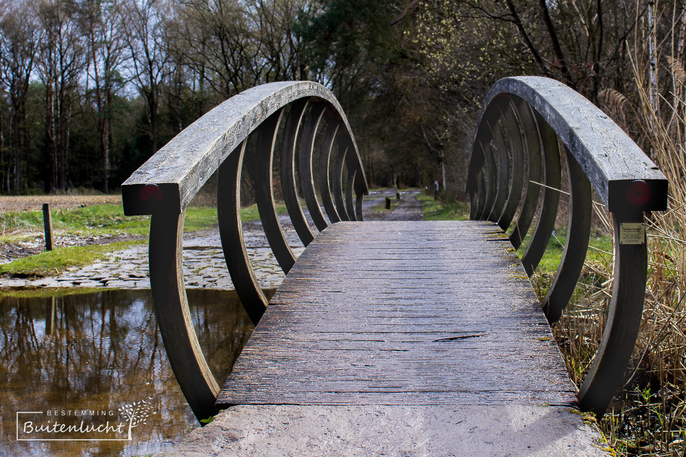 Brug in het Waterpark