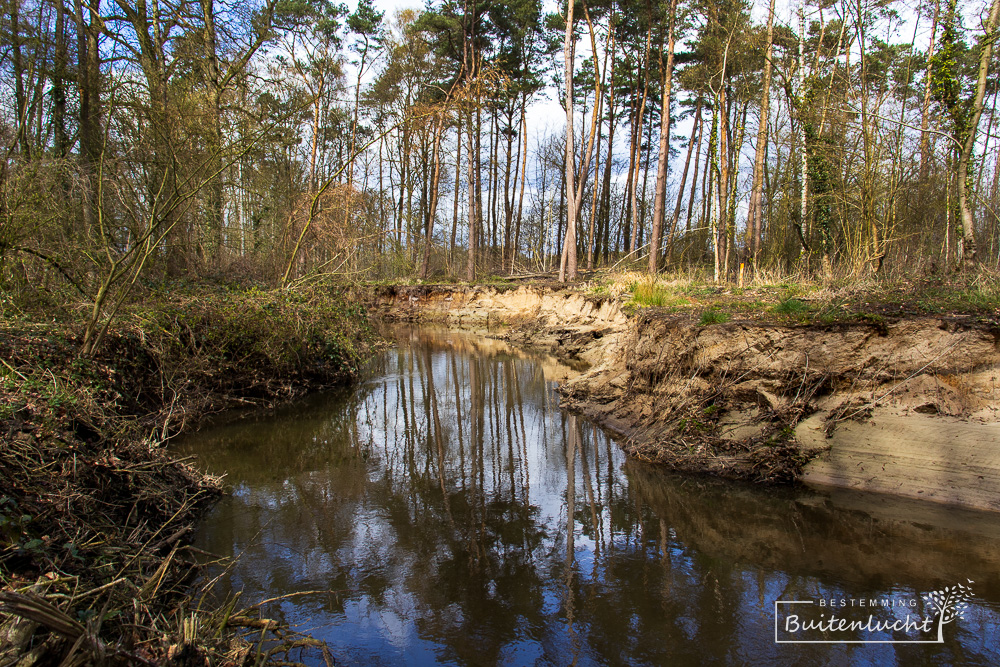 Buursche Beek in Haaksbergen