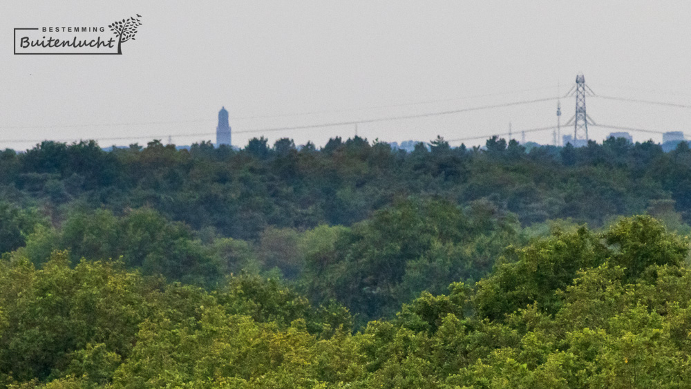 uitzicht vanuit de uitkijktoren in Meijel op de kerk in Weert