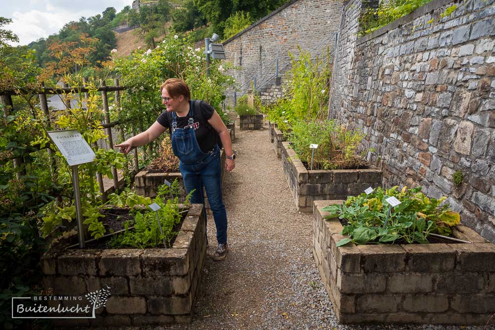 Jardin de deux tours, middeleeuwse tuin op de flanken van de citadel