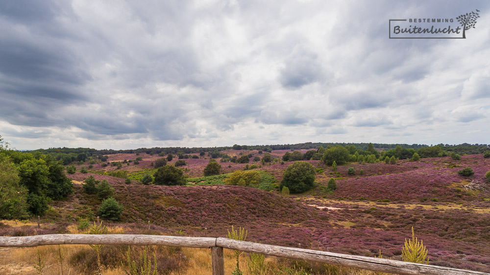 Panorama Herikhuizerveld Veluwezoom