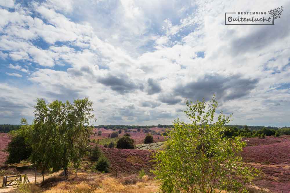 Wolken boven de heide bij de Posbank