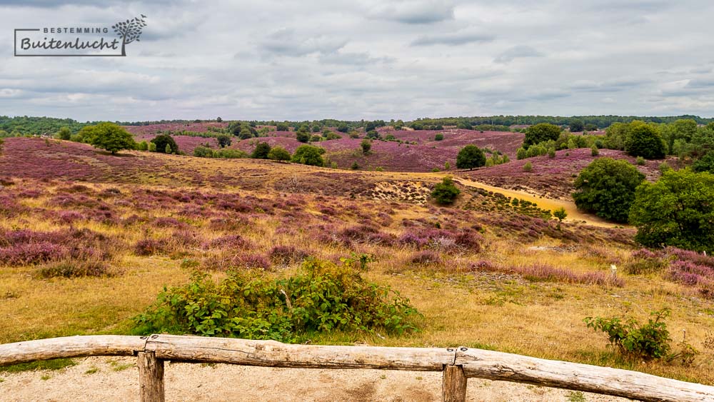 Uitzicht over het Herikhuizerveld in de Veluwezoom