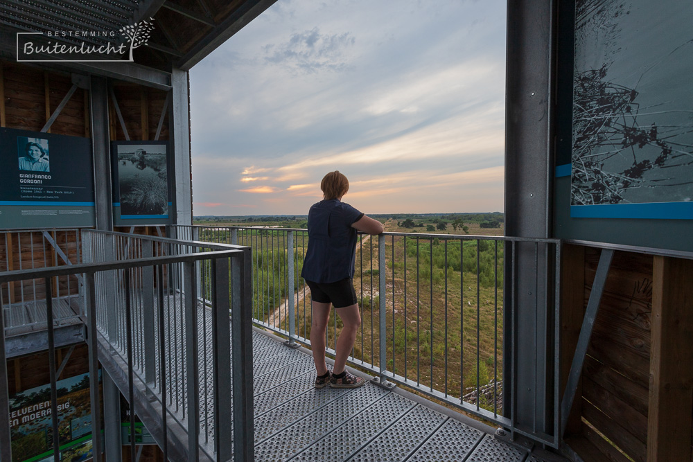 uitzicht vanuit een van de bordessen in de uitkijktoren Belfort over de Groote Peel