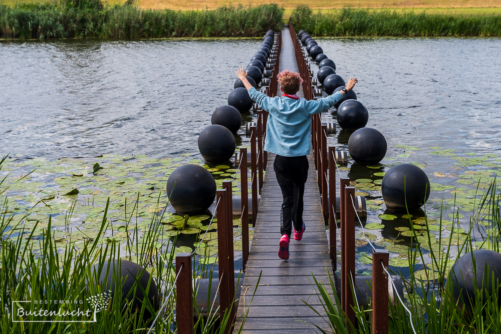 Drijfbrug over Lange Kolk in Duursche Waarden