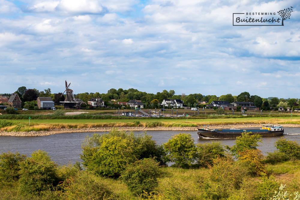 Veessen aan de overzijde van de IJssel